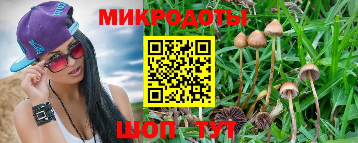 Псилоцибиновые грибы прущие грибы  Вход с VPN  Псилоцибиновые грибы мицелий  Туймазы 